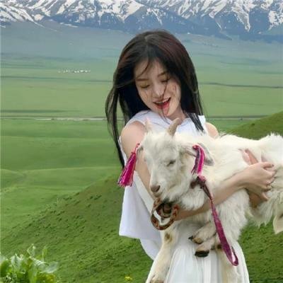 哦，我的宠妃大人2023