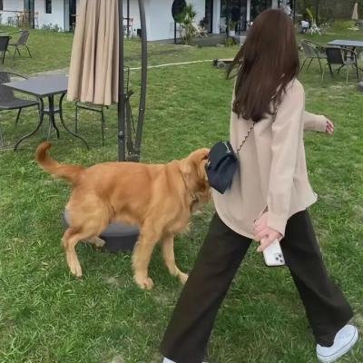 我们陷入恋爱的理由